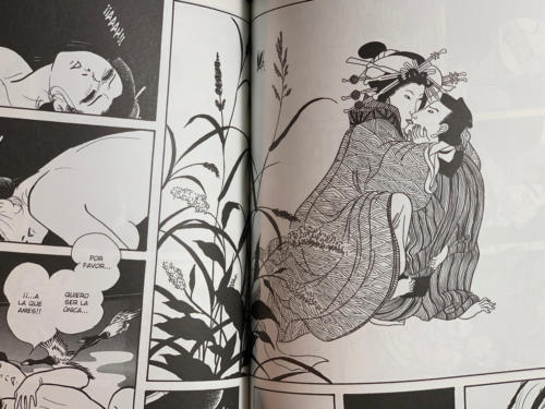 Mi Vida Sexual - Detalle Utamaro