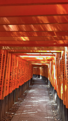 Torii del santuario Fushimi Inari en Kioto